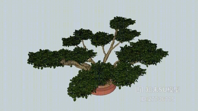 盆栽SU模型下载【ID:27736115】