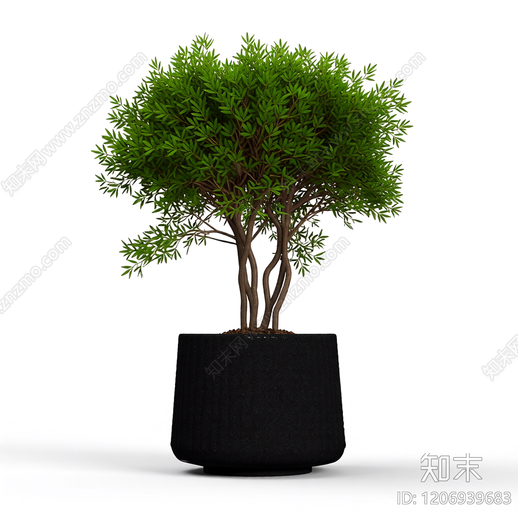 盆栽植物装饰3D模型下载【ID:1206939683】