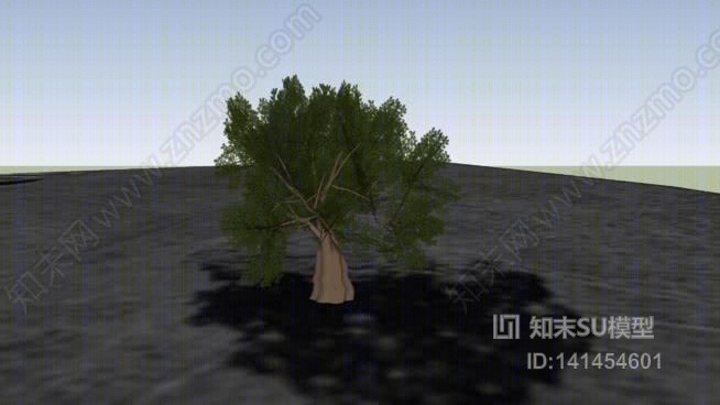 橡树、沙地、砖厂、边缘下的沃顿SU模型下载【ID:141454601】