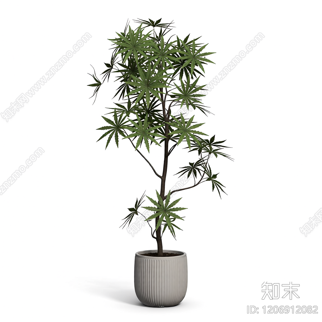 盆栽植物装饰3D模型下载【ID:1206912082】
