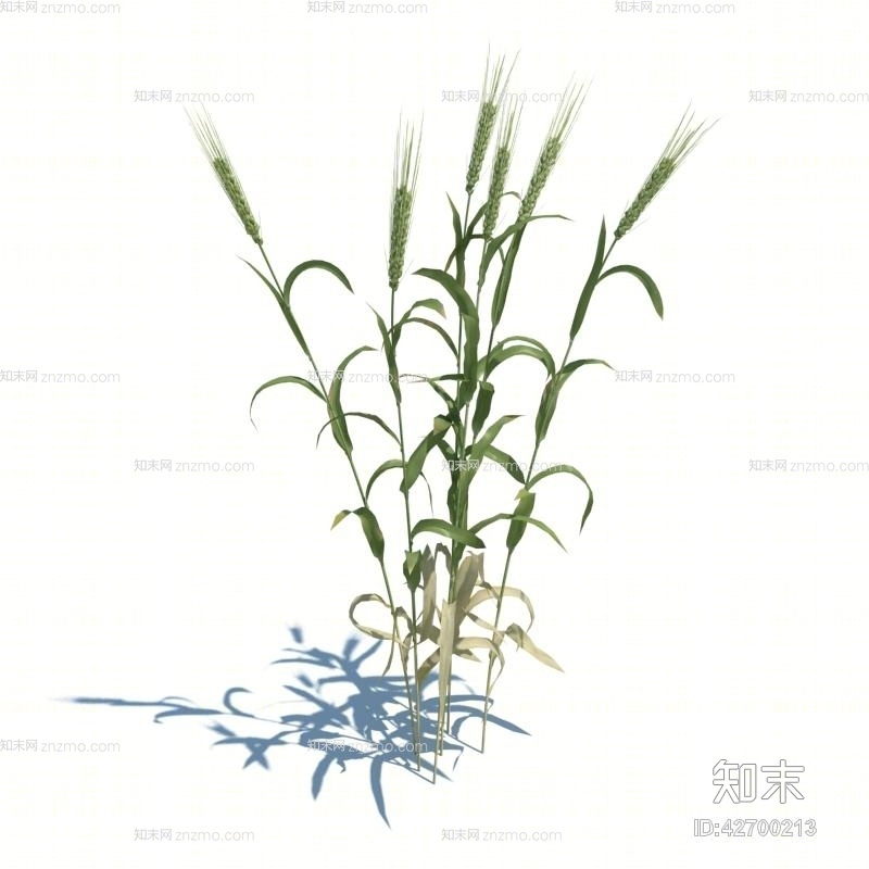 绿色草3D模型下载【ID:42700213】