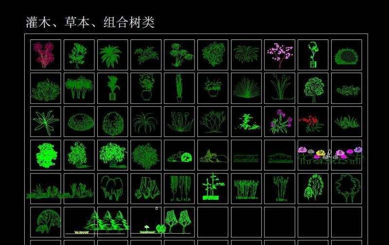 CAD立面树块大全cad施工图下载【ID:149635177】