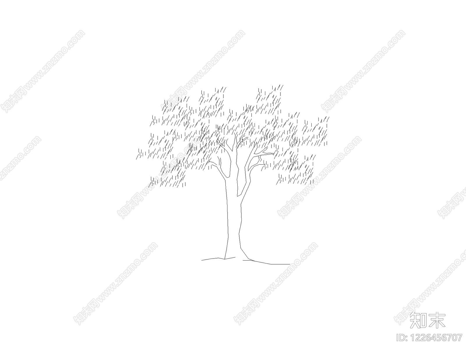 乔木种植CAD图纸