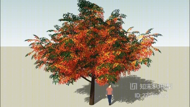 树SU模型下载【ID:27786012】