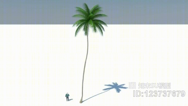 2椰树3DSU模型下载【ID:123737679】