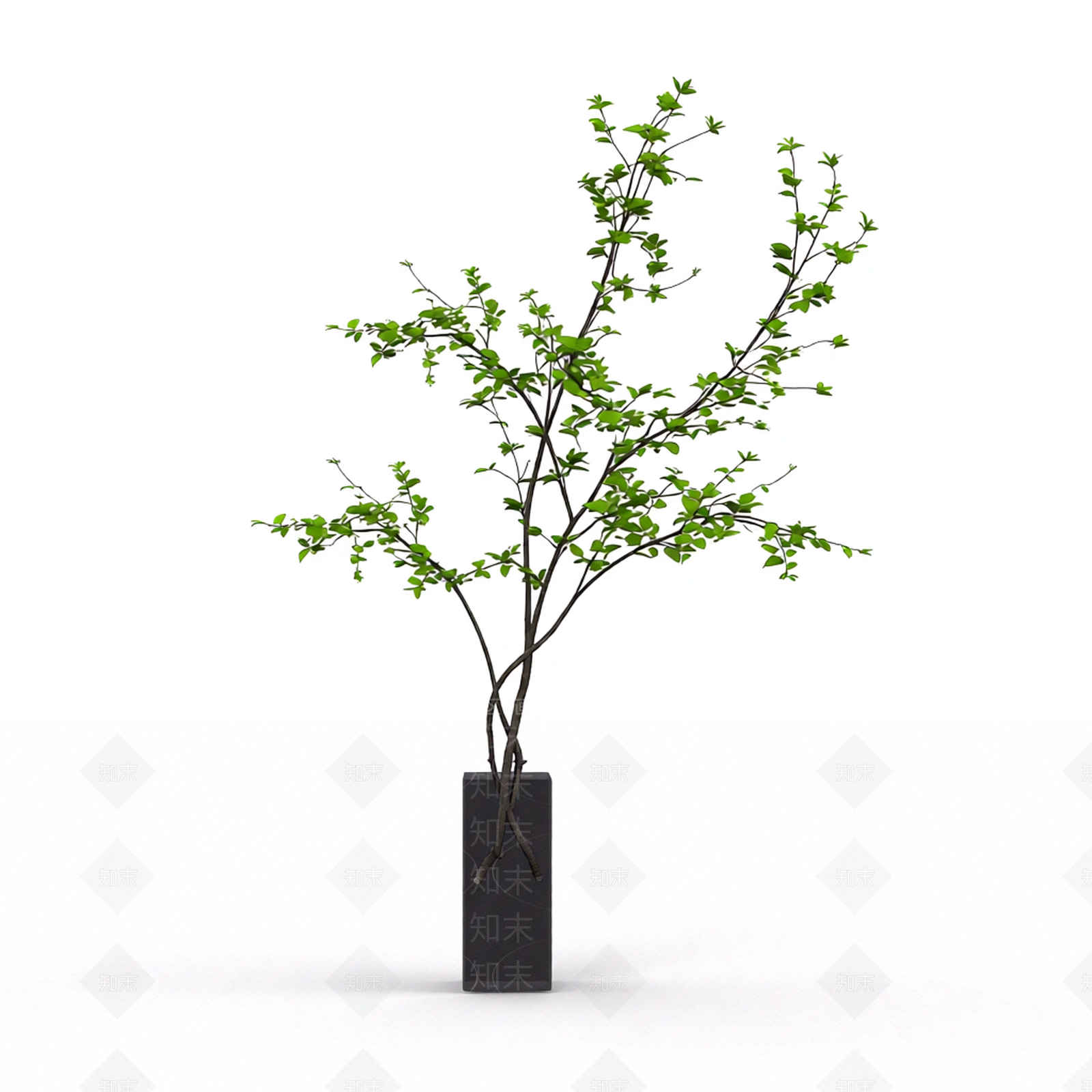 带盆绿植盆栽3D模型下载【ID:1206204702】
