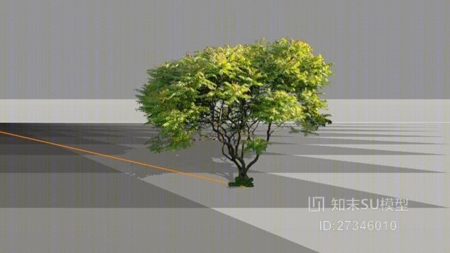 漆树（漆树）SP。SU模型下载【ID:117813649】