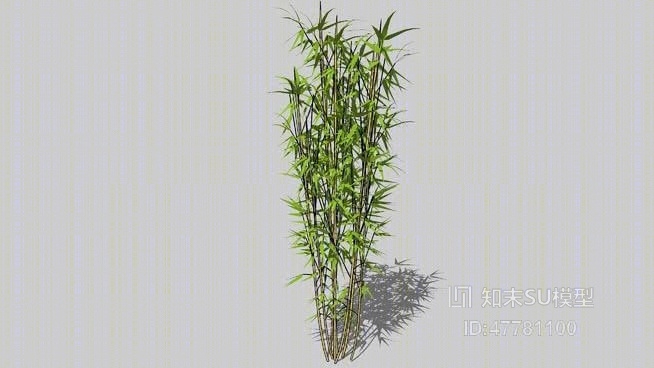竹子SU模型下载【ID:47781100】