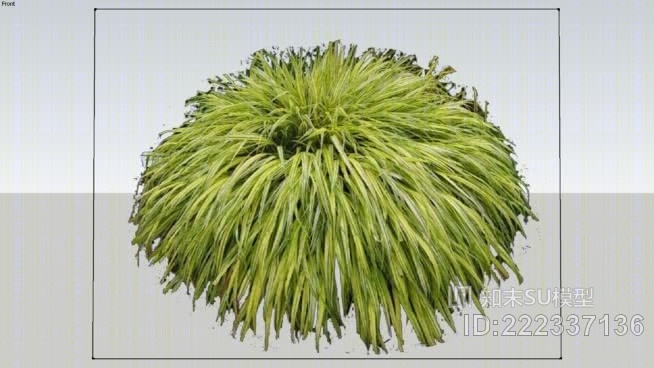 箱根草SU模型下载【ID:222337136】