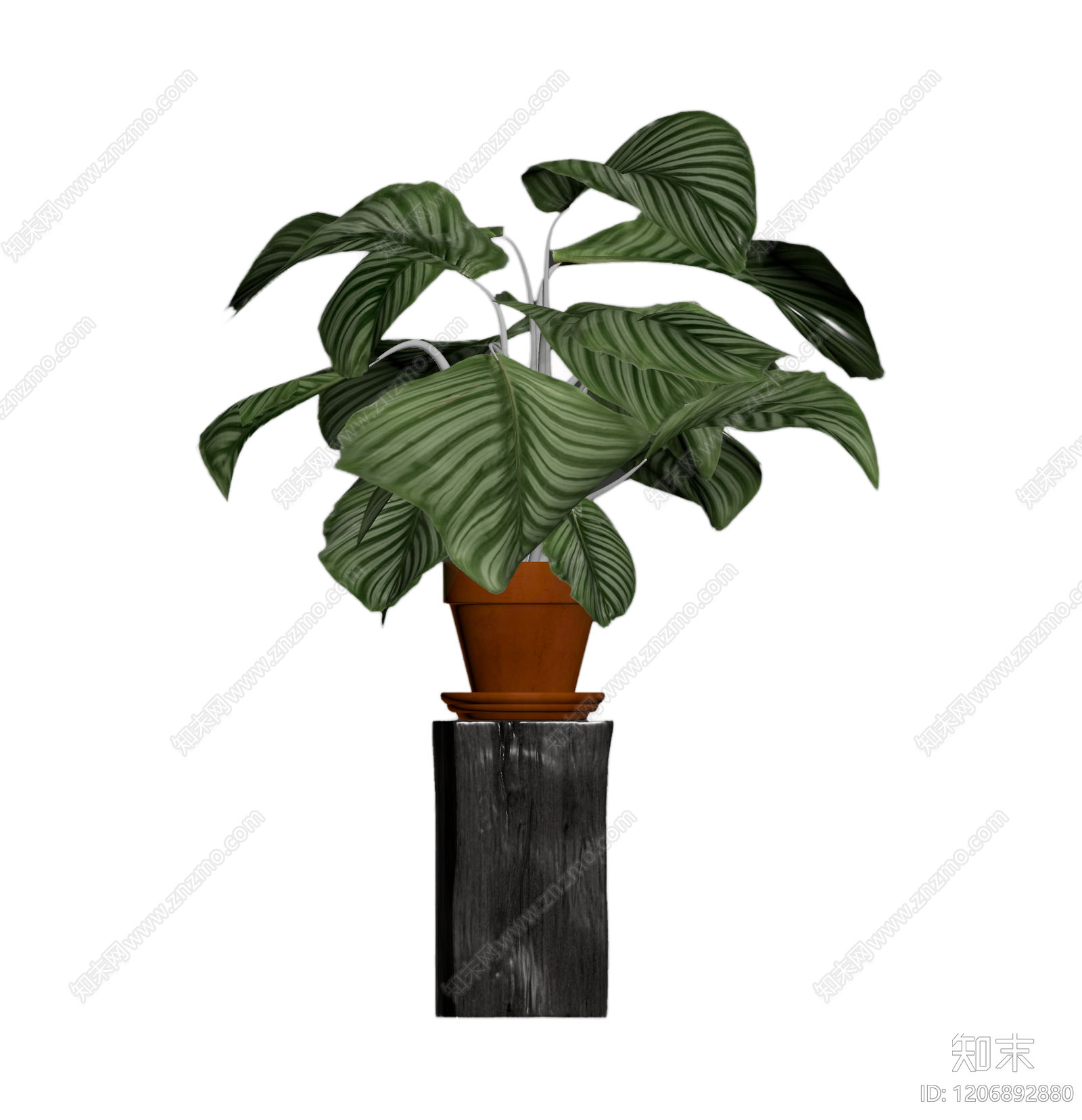 盆栽植物带底座3D模型下载【ID:1206892880】