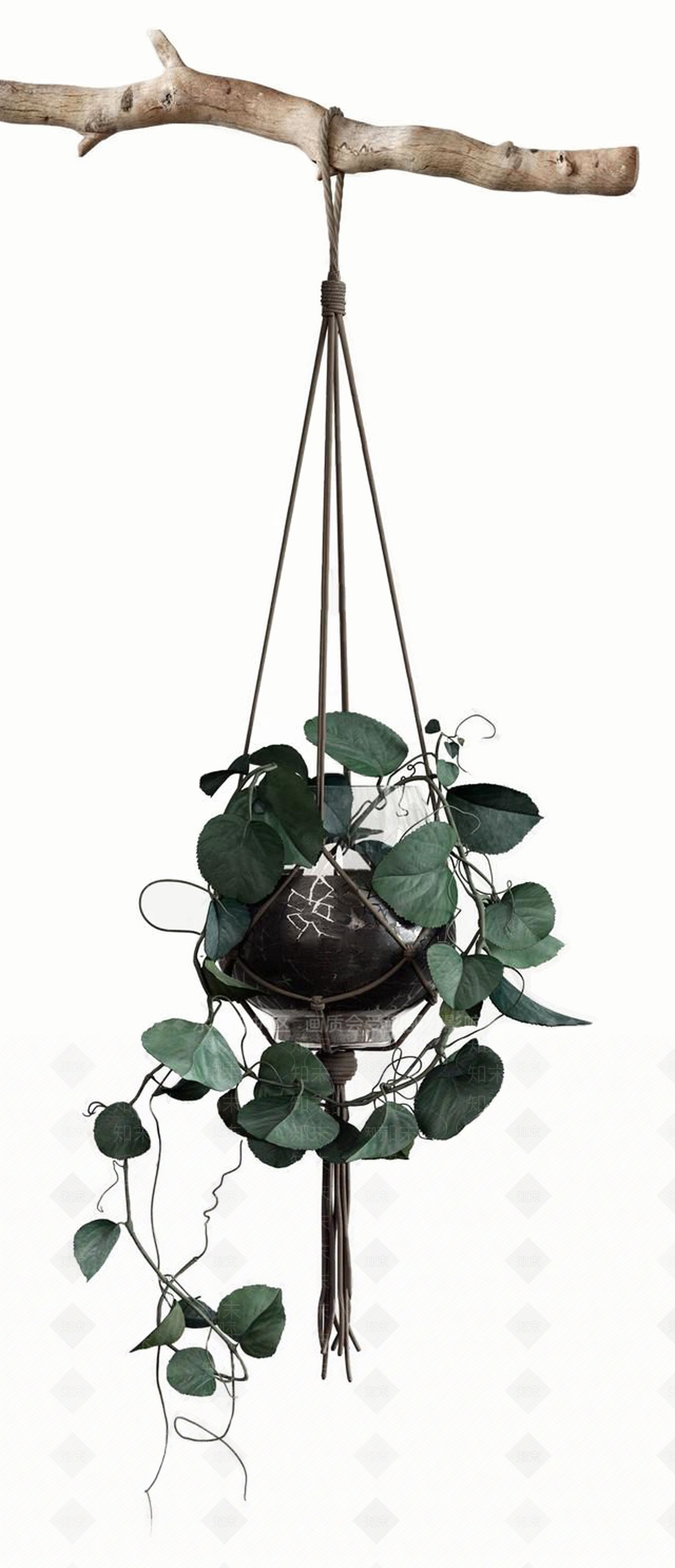 现代吊篮植物盆栽3D模型下载【ID:893500080】