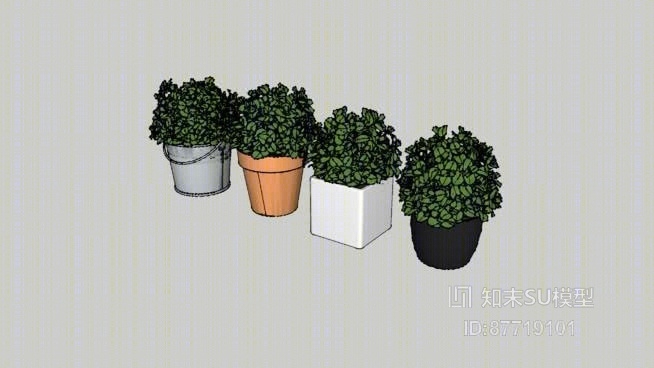 盆栽SU模型下载【ID:87719101】