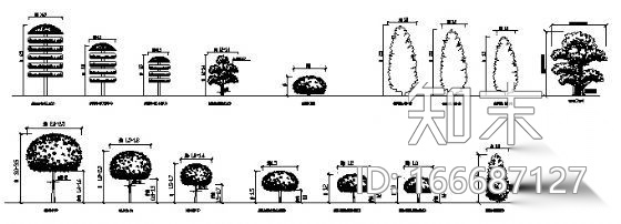 精品植物cad施工图下载【ID:166687127】