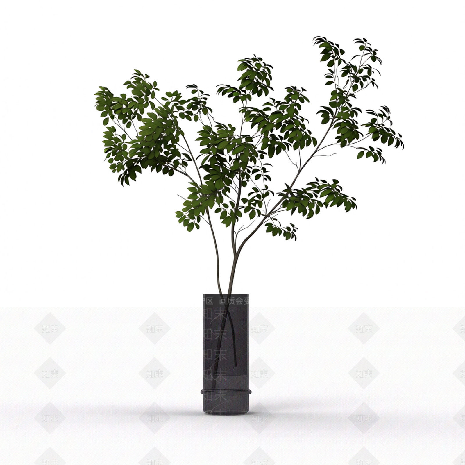 带盆绿植盆栽3D模型下载【ID:1206188346】