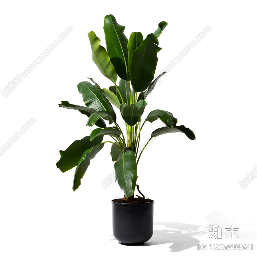 盆栽植物装饰3D模型下载【ID:1206893621】