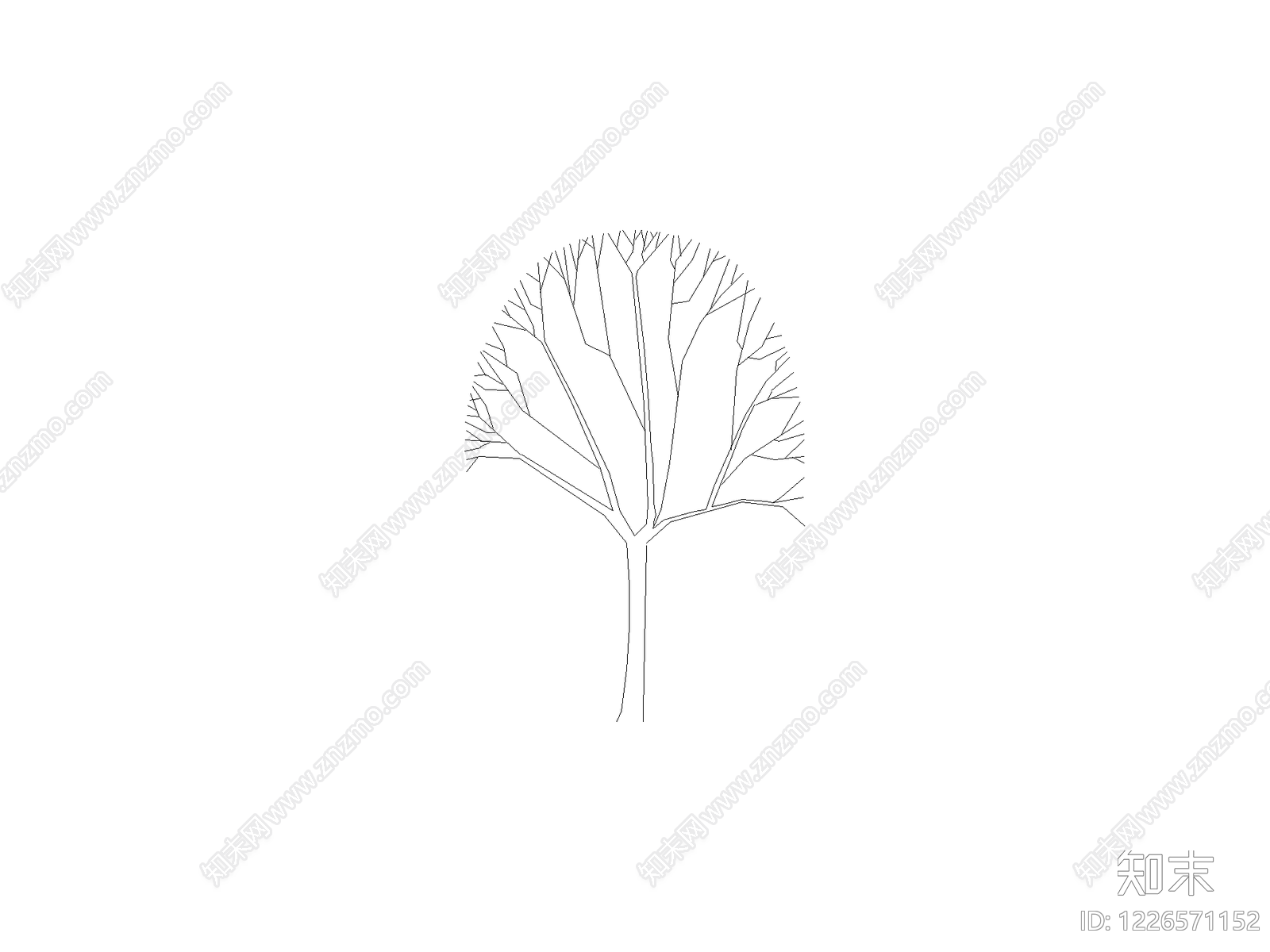 其他乔木种植CAD图纸