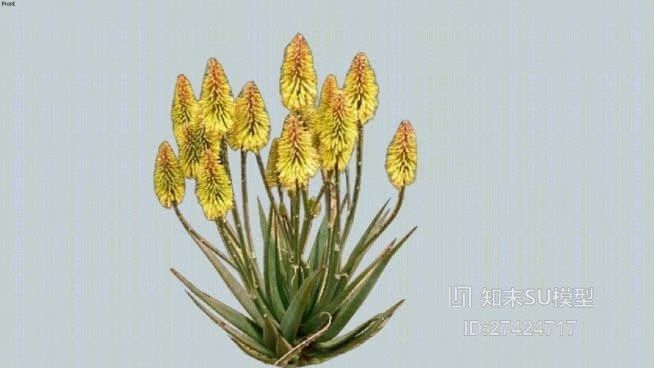 草SU模型下载【ID:217966179】