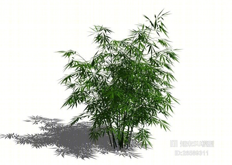 竹子SU模型下载【ID:26589311】