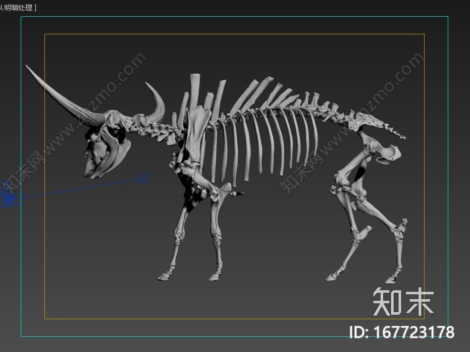 大角牛骨架CG模型下载【ID:167723178】