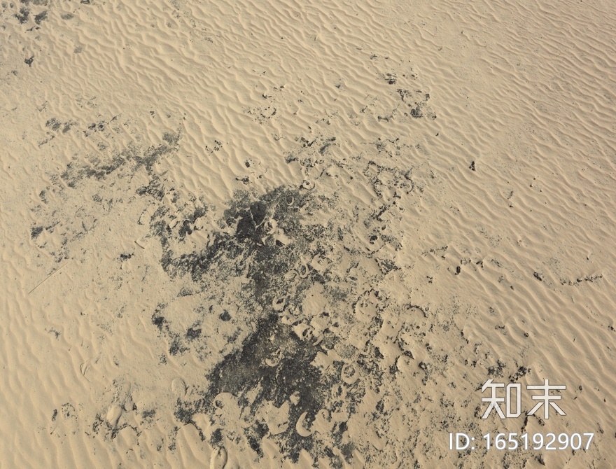 沙滩海滩贴图下载【ID:165192907】