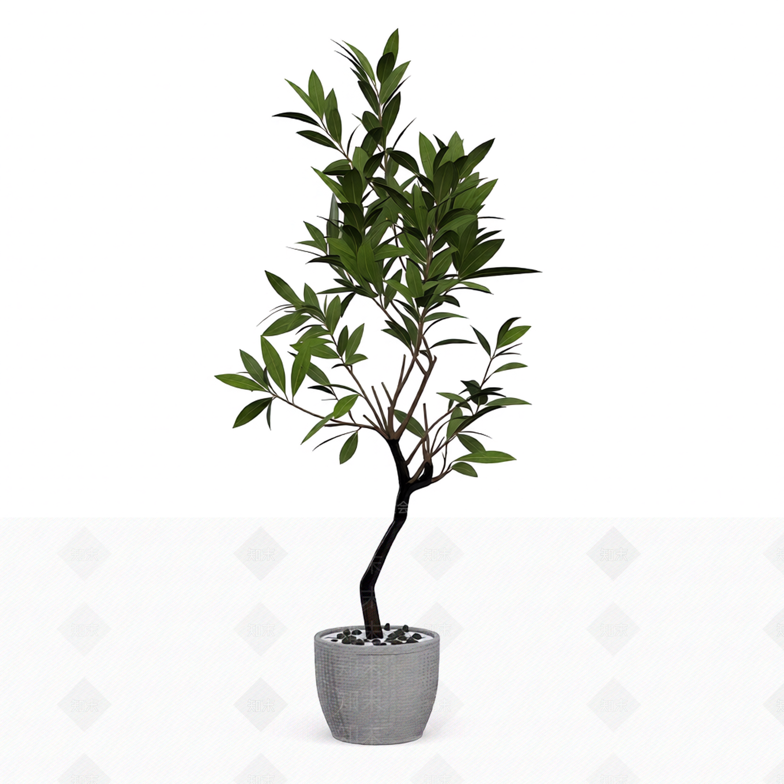 带盆绿植盆栽3D模型下载【ID:1206192872】