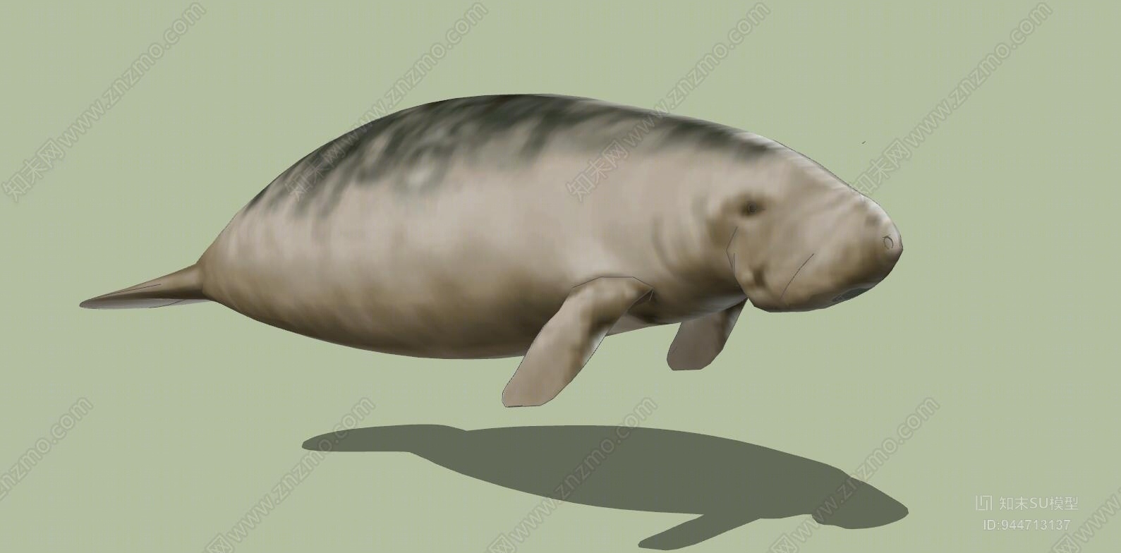 现代水生动物SU模型下载【ID:944713137】