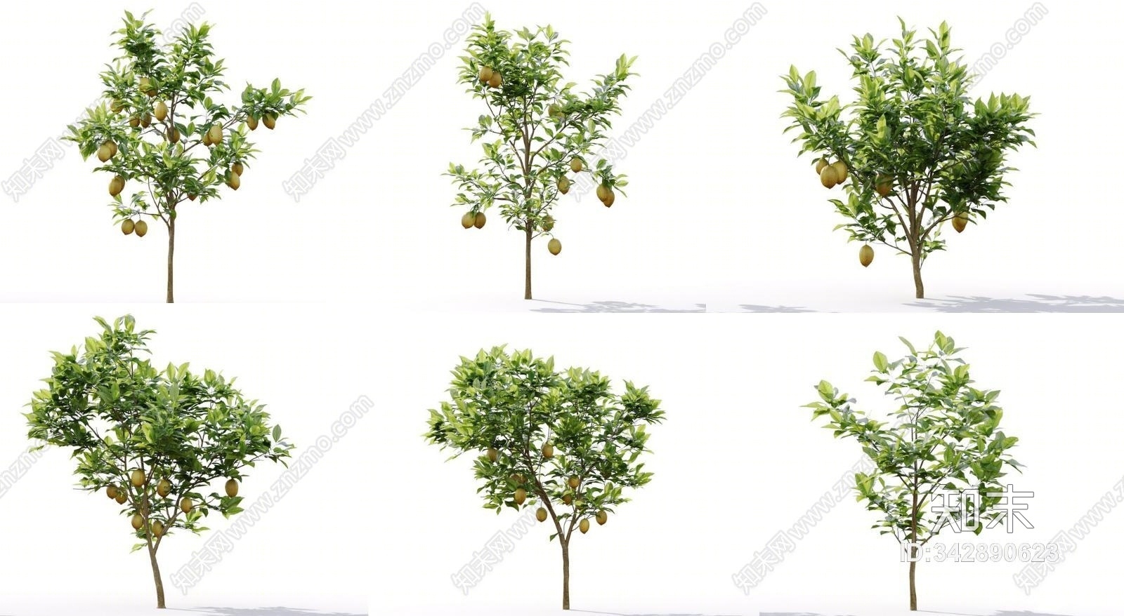 现代柠檬树组合3D模型下载【ID:342890623】