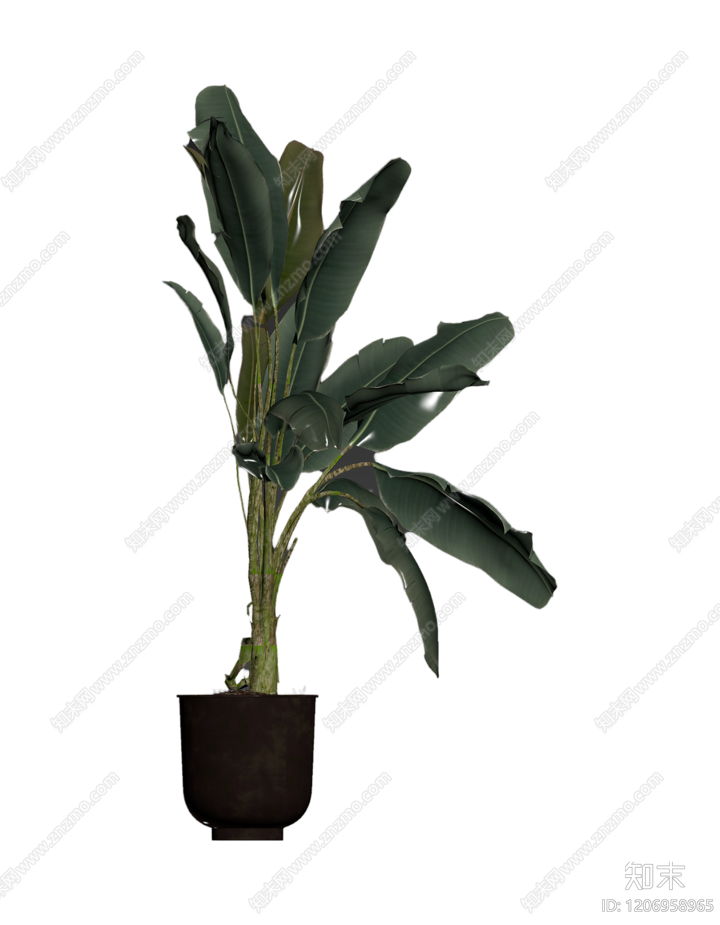 盆栽植物装饰3D模型下载【ID:1206958965】