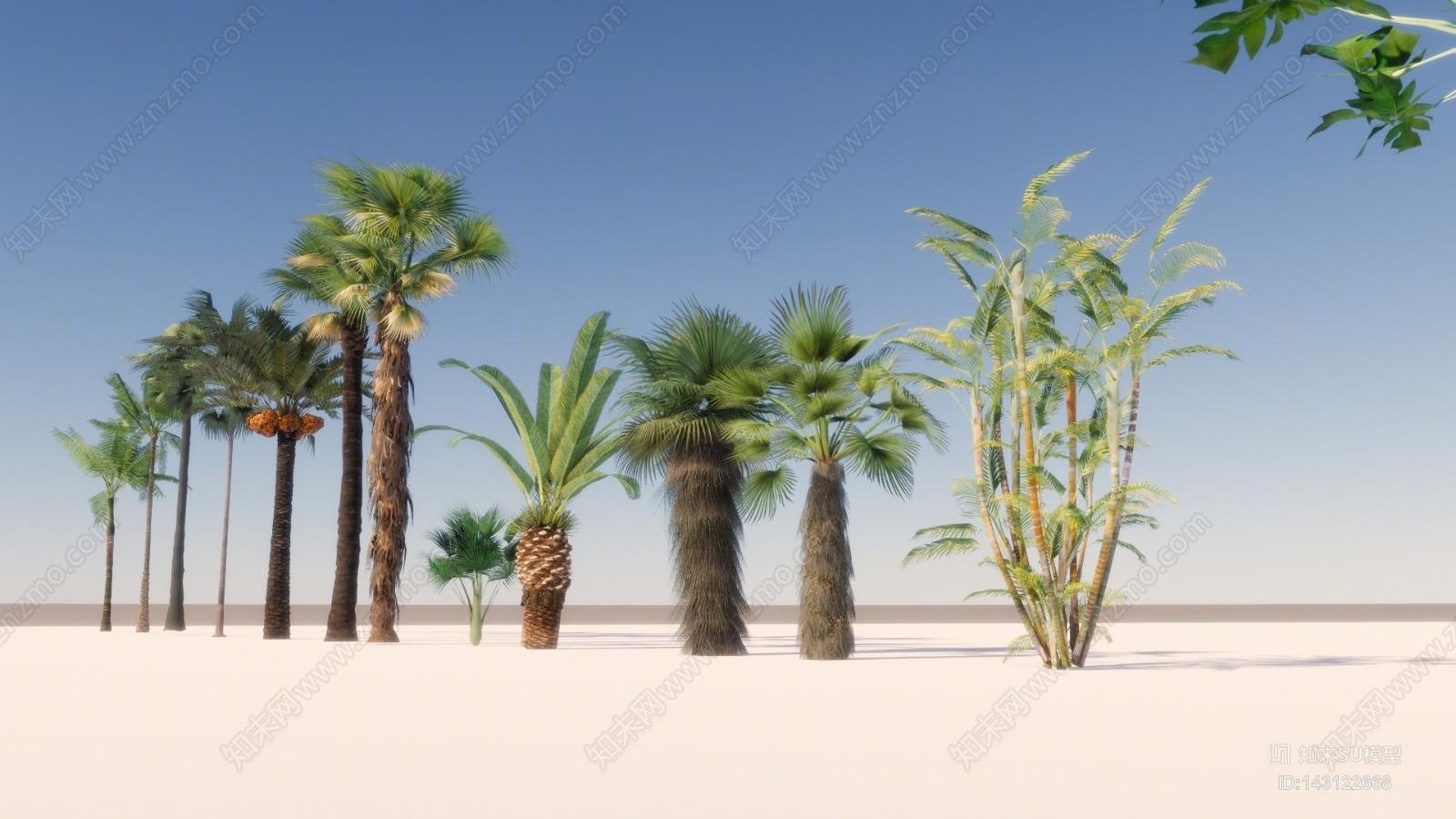 现代热带树SU模型下载【ID:143122668】