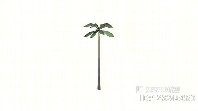热带直棕榈树40英尺SU模型下载【ID:123245650】