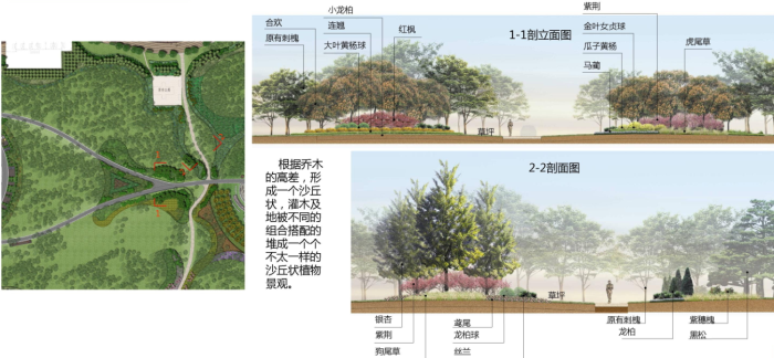 [山东]金滩海岸生态滨海区自然湿地景观规划设计方案cad施工图下载【ID:161014190】