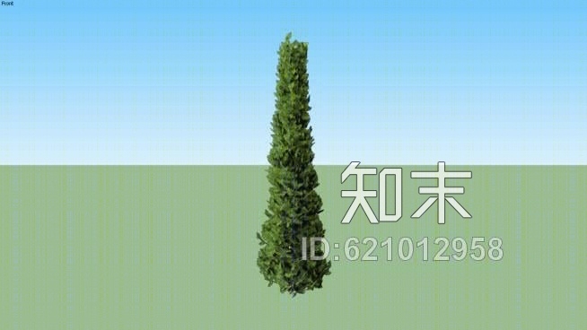 翡翠北美香柏侧柏SU模型下载【ID:621012958】