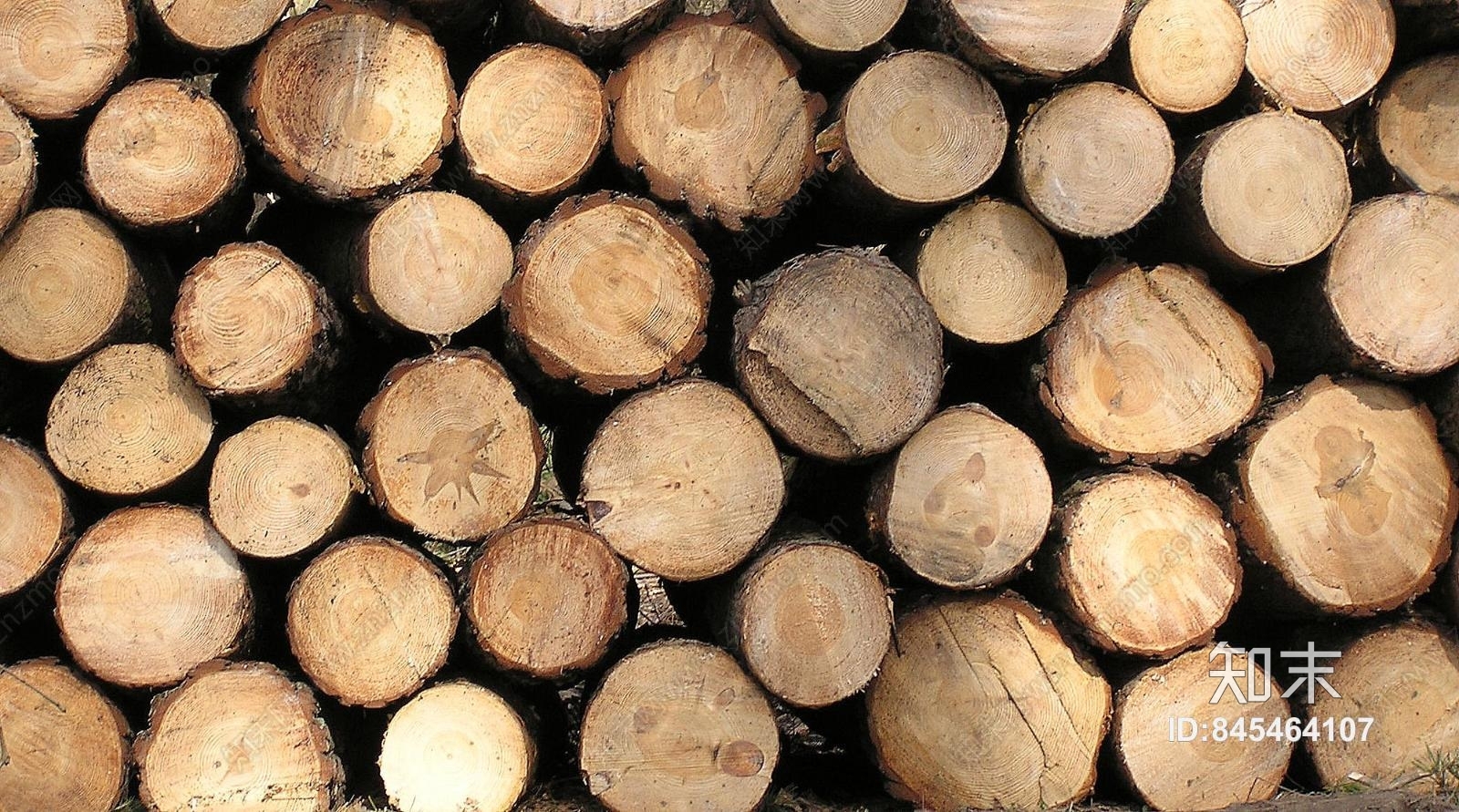 原木贴图下载【ID:845464107】