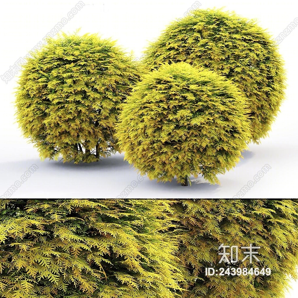 现代球形灌木3D模型下载【ID:243984649】