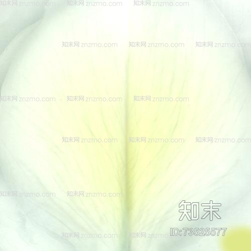 花瓣贴图下载【ID:73525577】