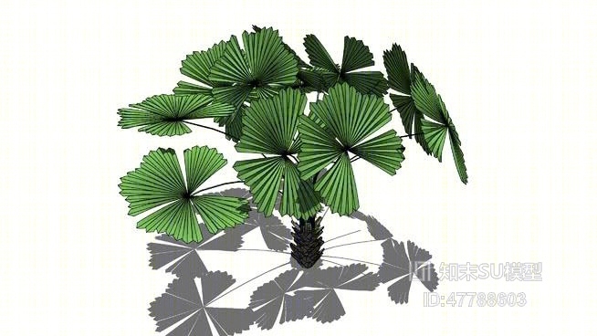 树SU模型下载【ID:47788603】