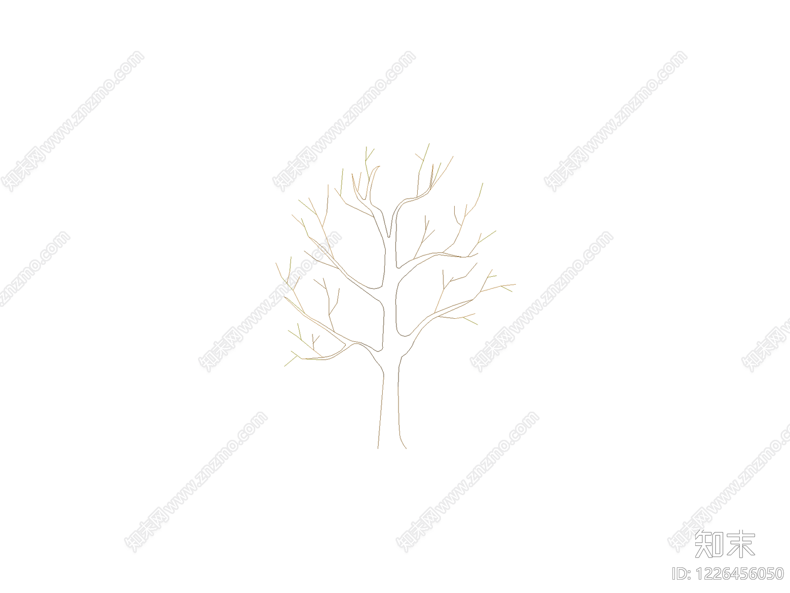 乔木种植CAD图纸