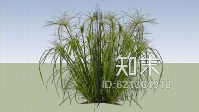 纸莎草纸的3DSU模型下载【ID:621364918】