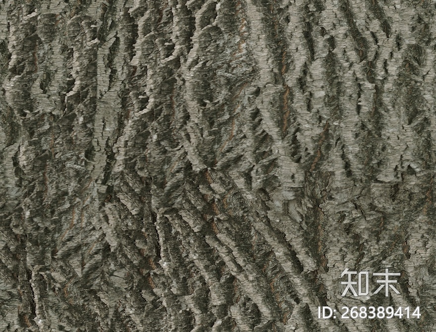 树皮贴图下载【ID:268389414】