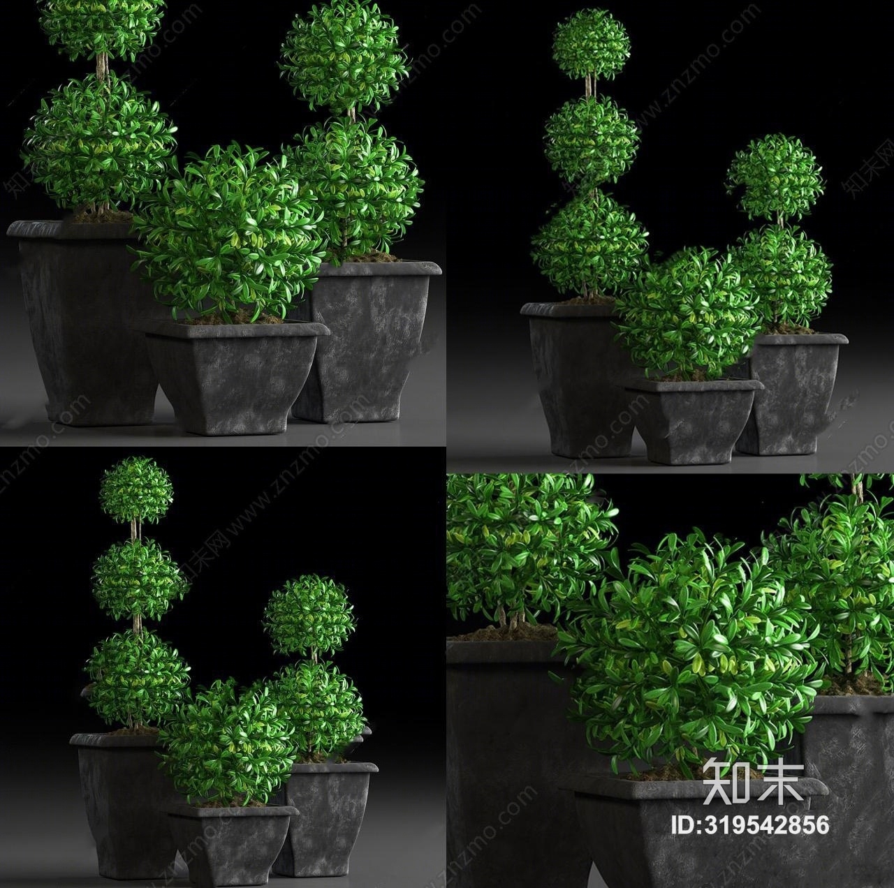 现代植物盆栽组合3D模型下载【ID:319542856】