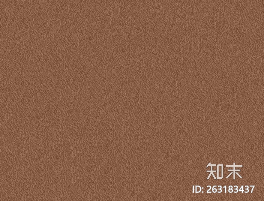 皮质细纹贴图下载【ID:263183437】