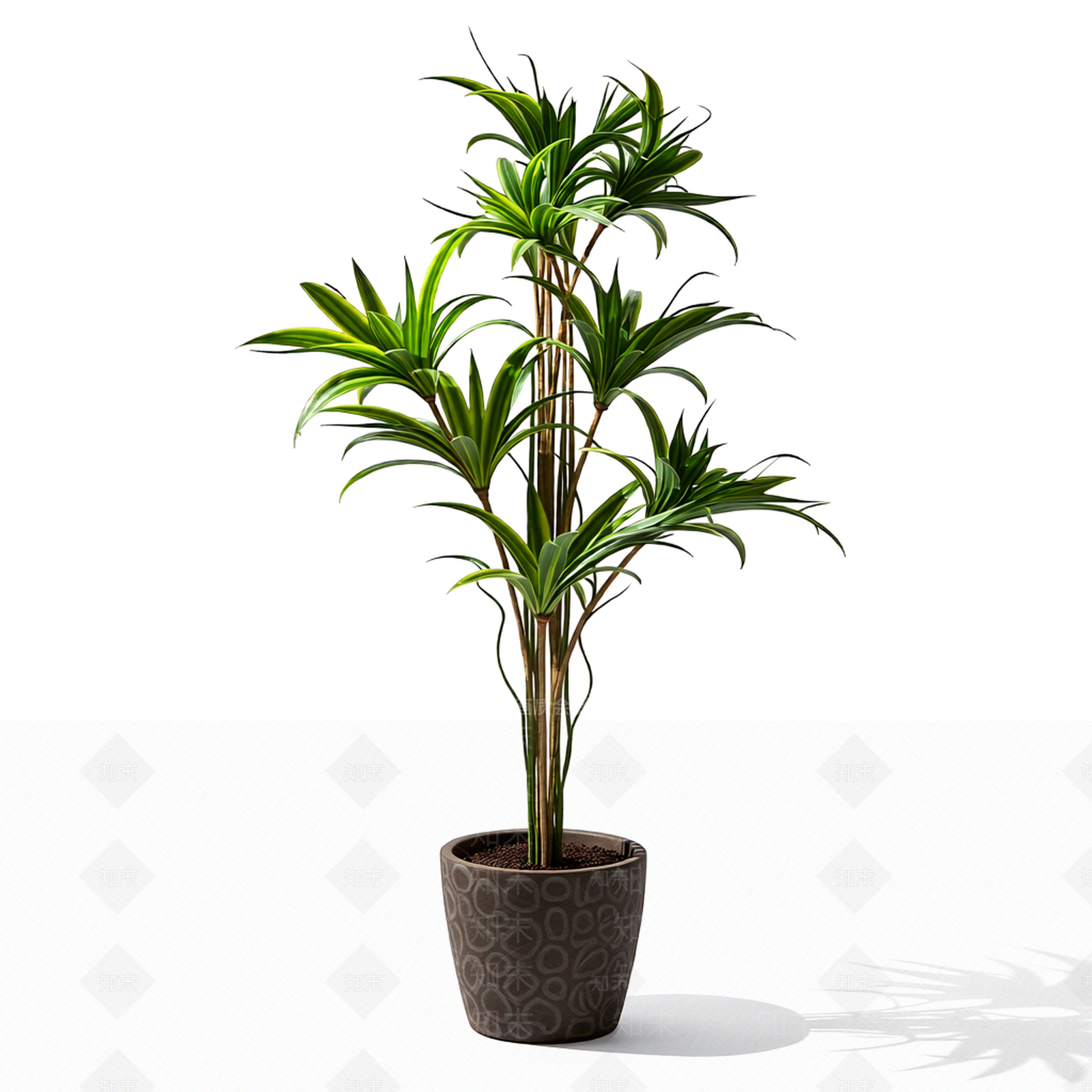 带花纹花盆的盆栽3D模型下载【ID:1206187619】