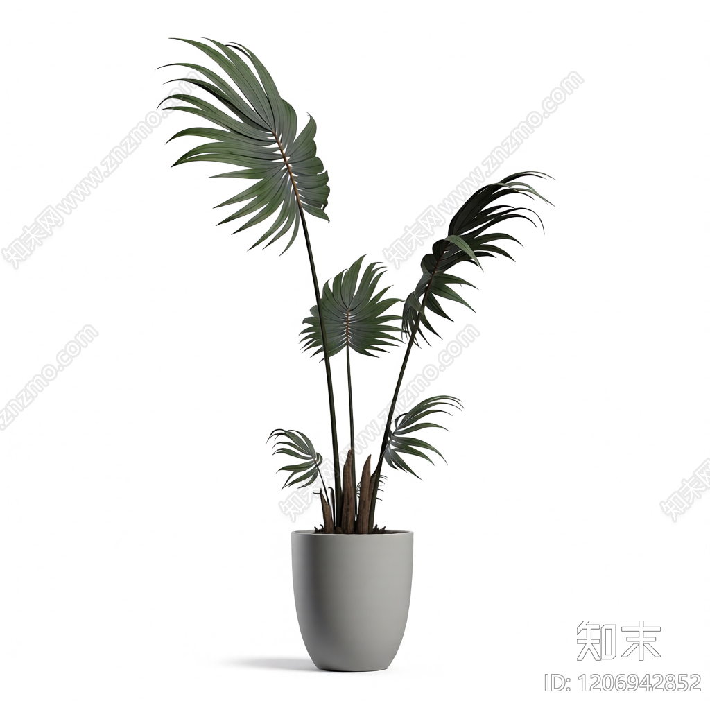 盆栽植物装饰3D模型下载【ID:1206942852】