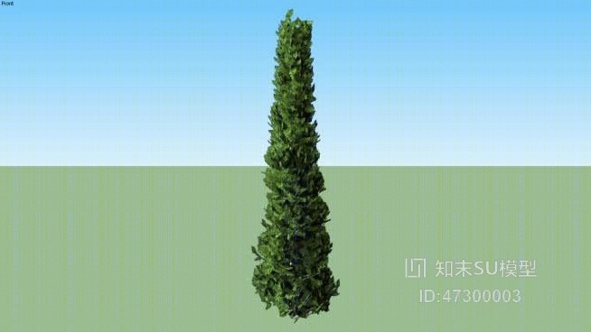 arborvitae_emerald_thuja_occidentalisSU模型下载【ID:47300003】