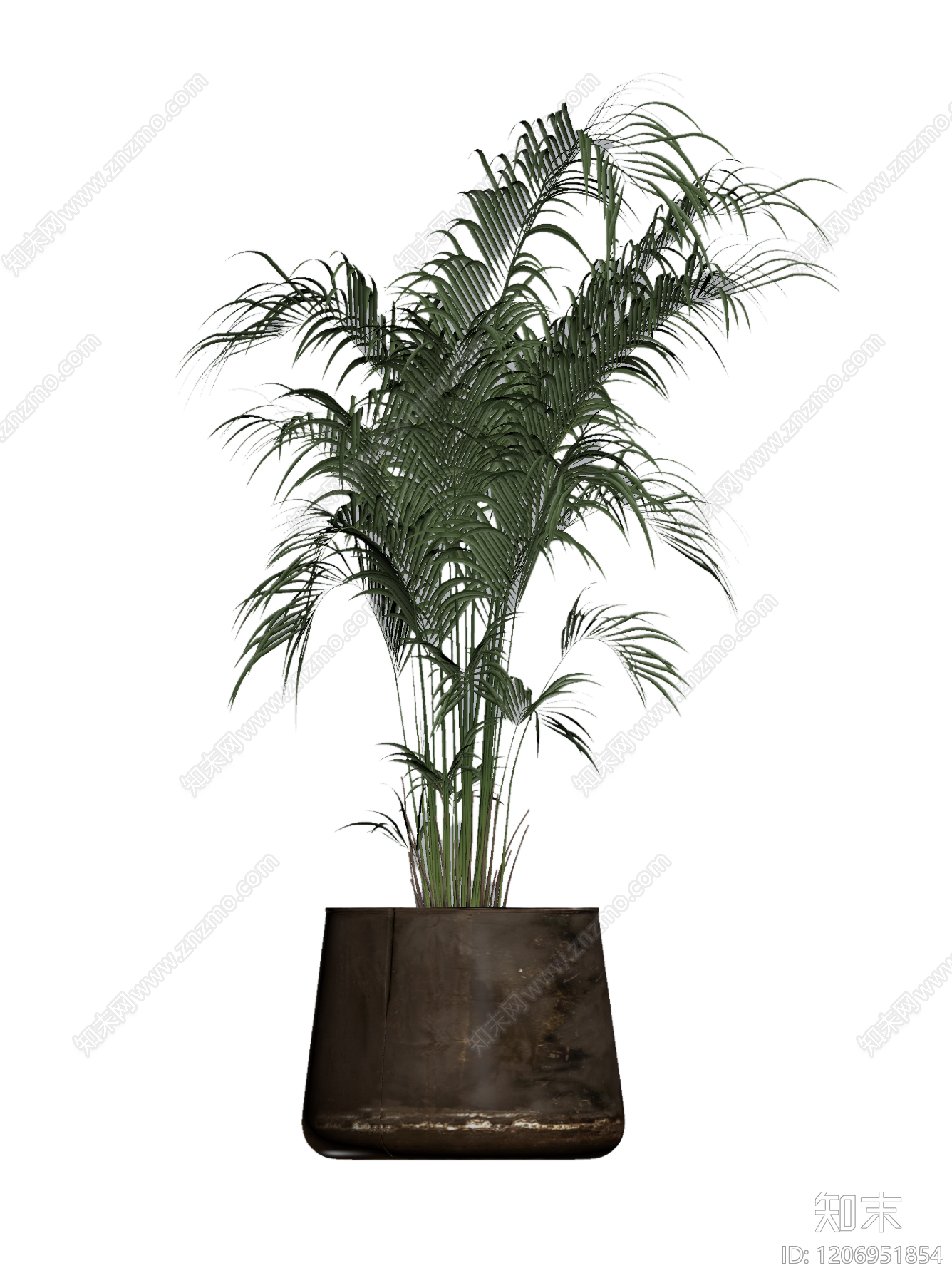 盆栽棕榈植物3D模型下载【ID:1206951854】