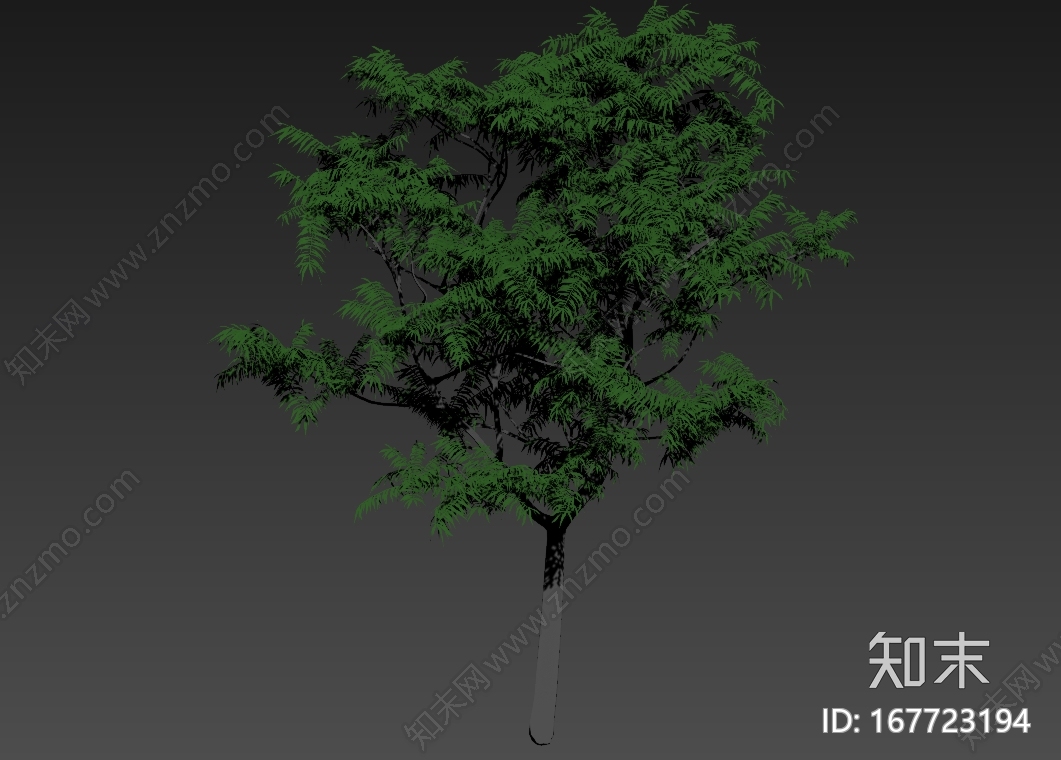 一颗很不错的小树CG模型下载【ID:167723194】