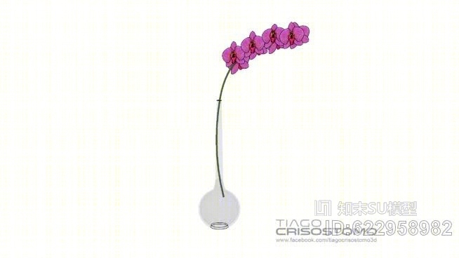 花盆的兰花SU模型下载【ID:622958982】