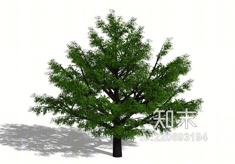 3D植物树SU模型下载【ID:220693194】