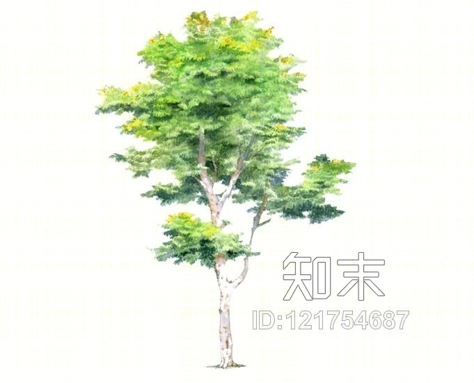 2D水彩风格树SU模型下载【ID:121754687】