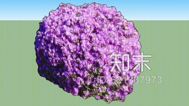 杜鹃花SU模型下载【ID:621337973】